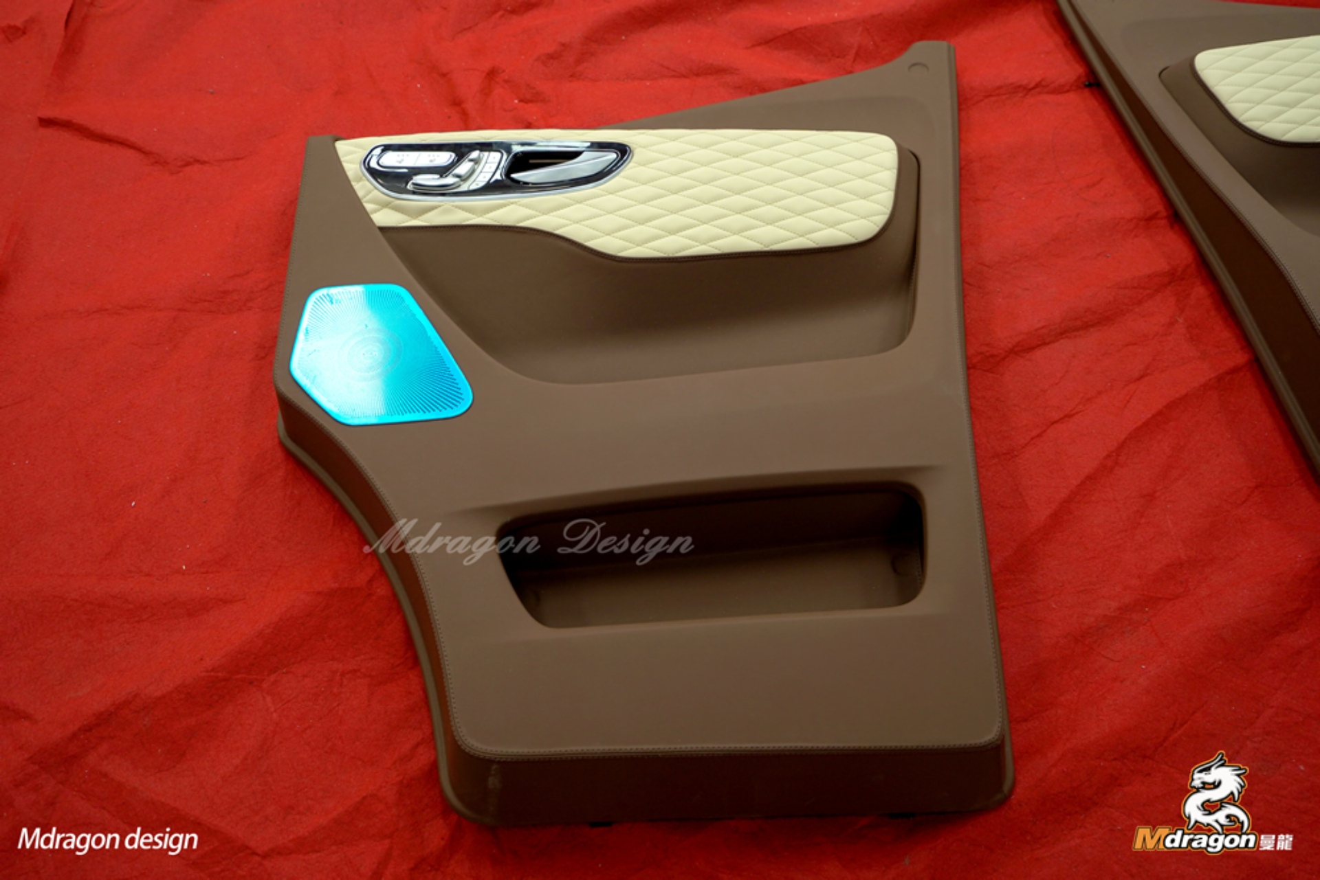 Sprinter Customized Front Door Panels-1088