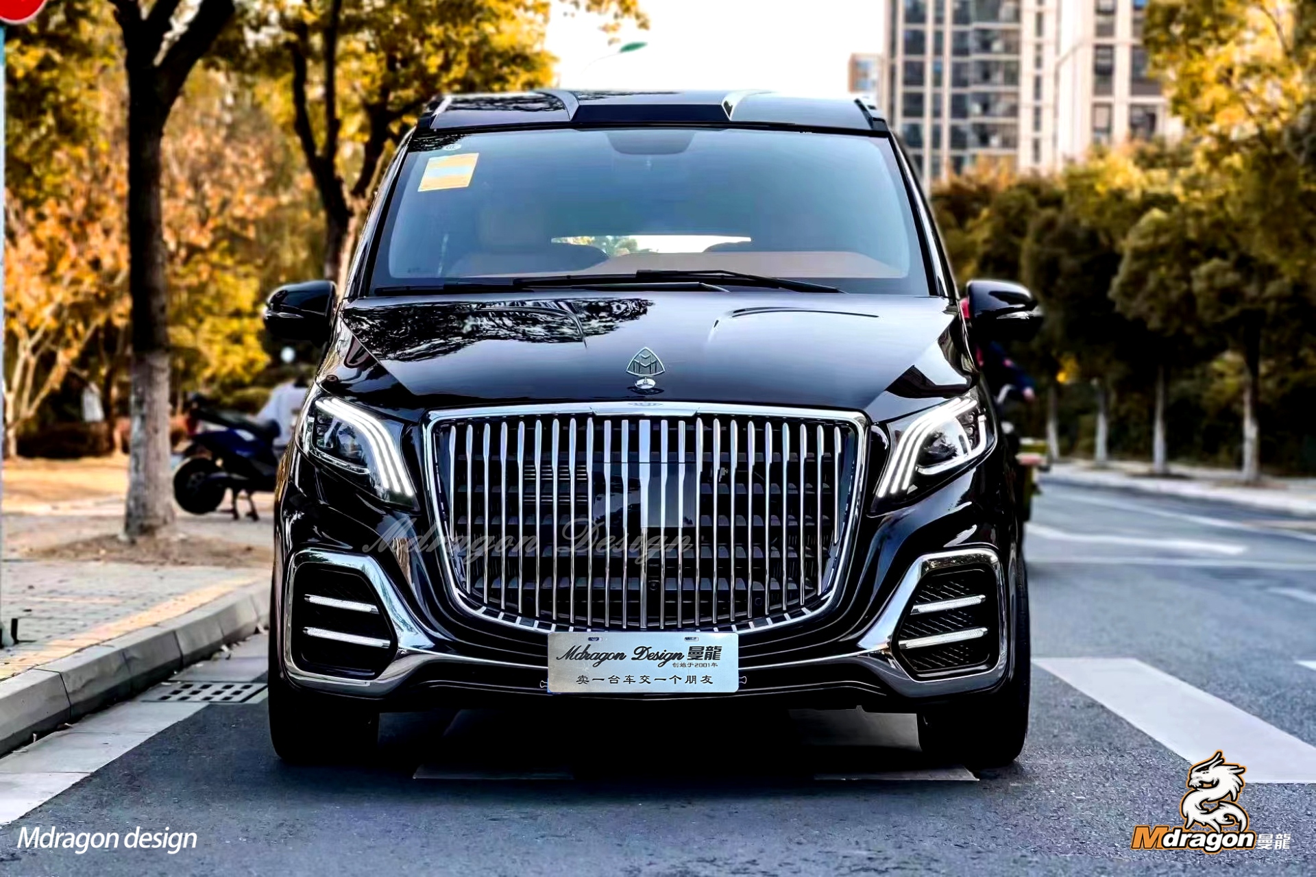 Mdragon V class/Vito Luxury K Body Kits($1930)