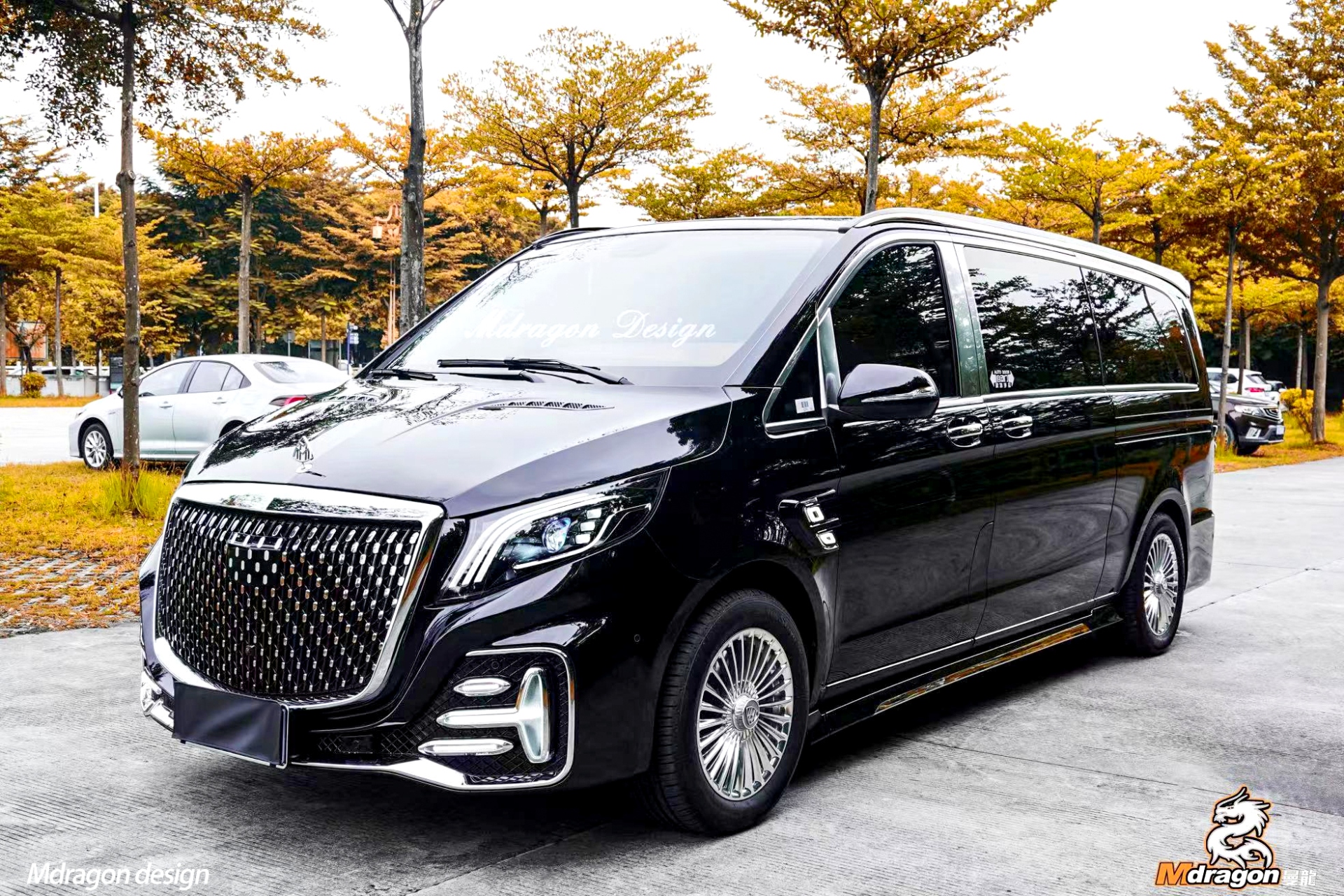 Mdragon V class/ Vito Luxury Stars 3 Body Kits($1980)